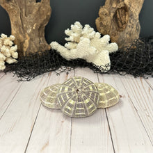 Load image into Gallery viewer, Alfonso Sea Urchin