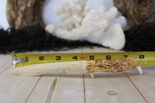 Load image into Gallery viewer, Handmade Alligator Jawbone Knife (7”-8”)