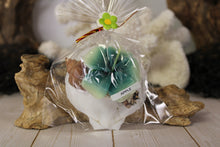 Load image into Gallery viewer, Flower Candle w/ Shell Holder