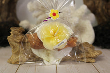 Load image into Gallery viewer, Flower Candle w/ Shell Holder