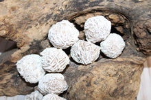 Load image into Gallery viewer, Desert Rose Selenite