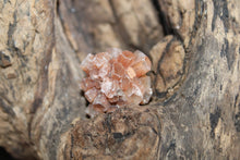 Load image into Gallery viewer, Aragonite