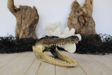 Load image into Gallery viewer, Small Gator Head