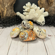 Load image into Gallery viewer, South African Turban