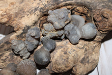 Load image into Gallery viewer, Truffle Chalcedony