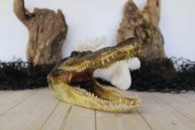 Load image into Gallery viewer, Medium Gator Head