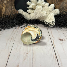 Load image into Gallery viewer, South African Turban