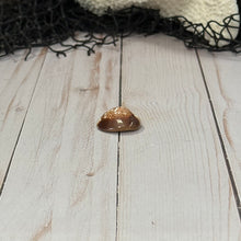 Load image into Gallery viewer, Caput Shell