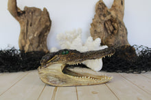 Load image into Gallery viewer, Small Gator Head