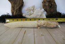 Load image into Gallery viewer, Handmade Alligator Jawbone Knife (11”-12”)