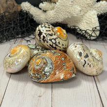 Load image into Gallery viewer, South African Turban