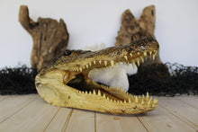 Load image into Gallery viewer, Large Gator Head