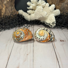 Load image into Gallery viewer, South African Turban