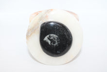 Load image into Gallery viewer, Onyx Stone w/ Ammonite Fossil Box (LARGE)
