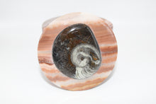 Load image into Gallery viewer, Onyx Stone w/ Ammonite Fossil Box (LARGE)
