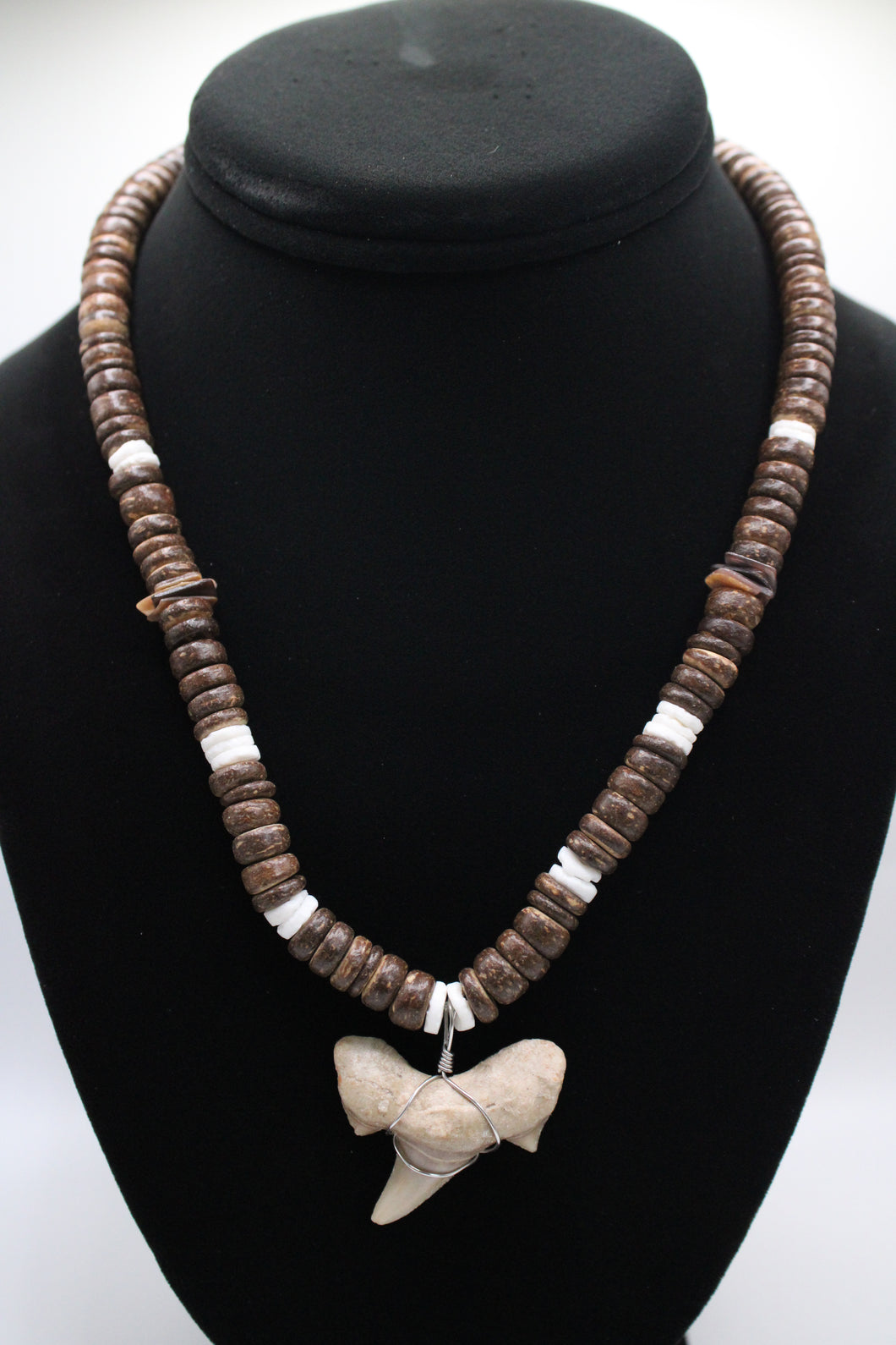 Shark Tooth Necklace (LARGE)