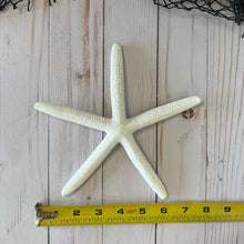 Load image into Gallery viewer, White Finger Starfish
