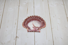 Load image into Gallery viewer, Mexican Flat Scallop Shell
