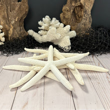 Load image into Gallery viewer, White Finger Starfish
