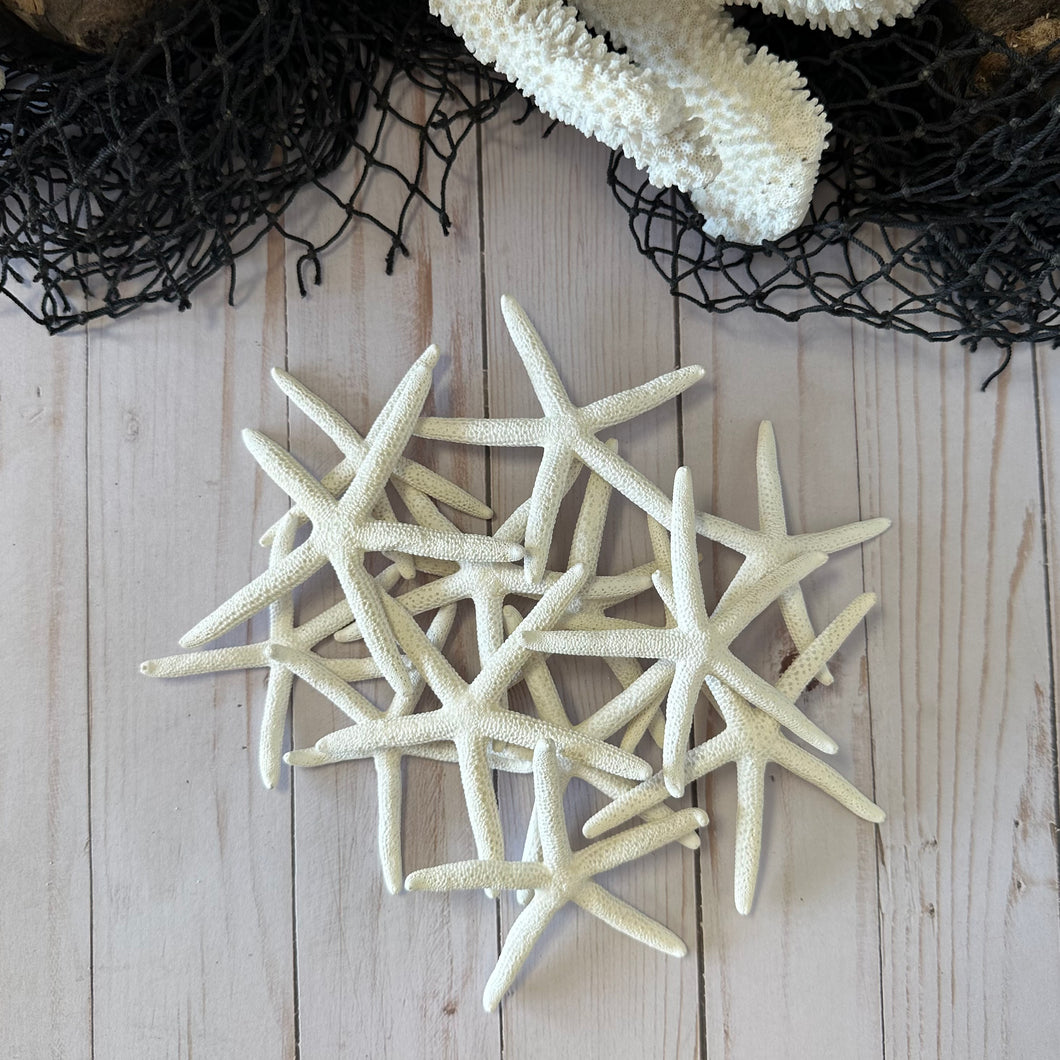 White Finger Starfish