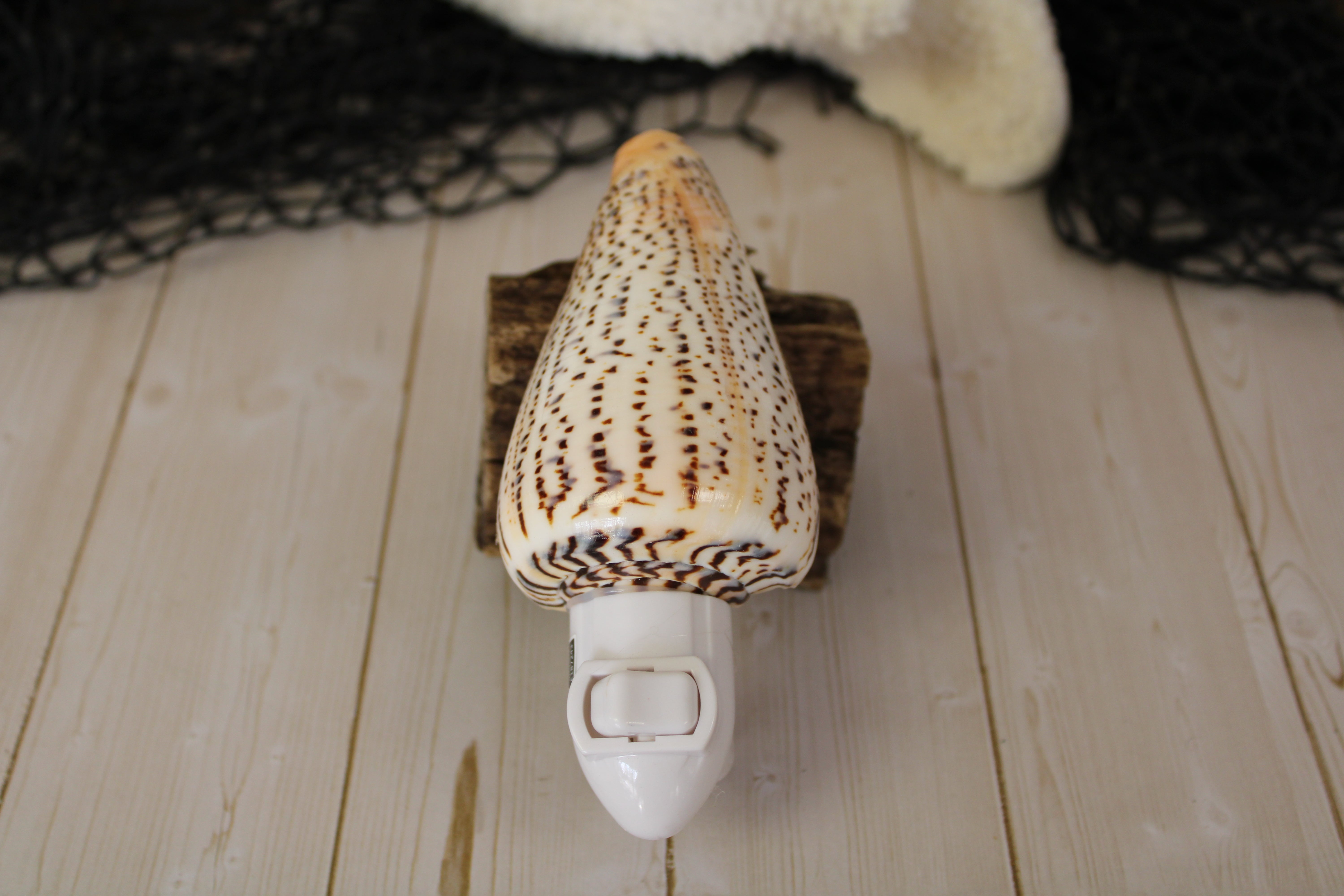 Cone Shell Nightlight
