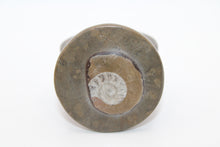 Load image into Gallery viewer, Brown Ammonite Box (SMALL)
